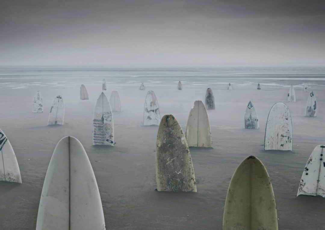 Surf & Sustainability