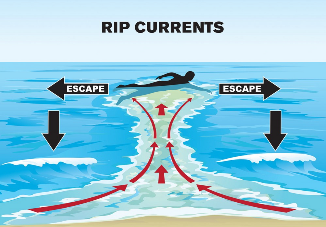 Rip Currents